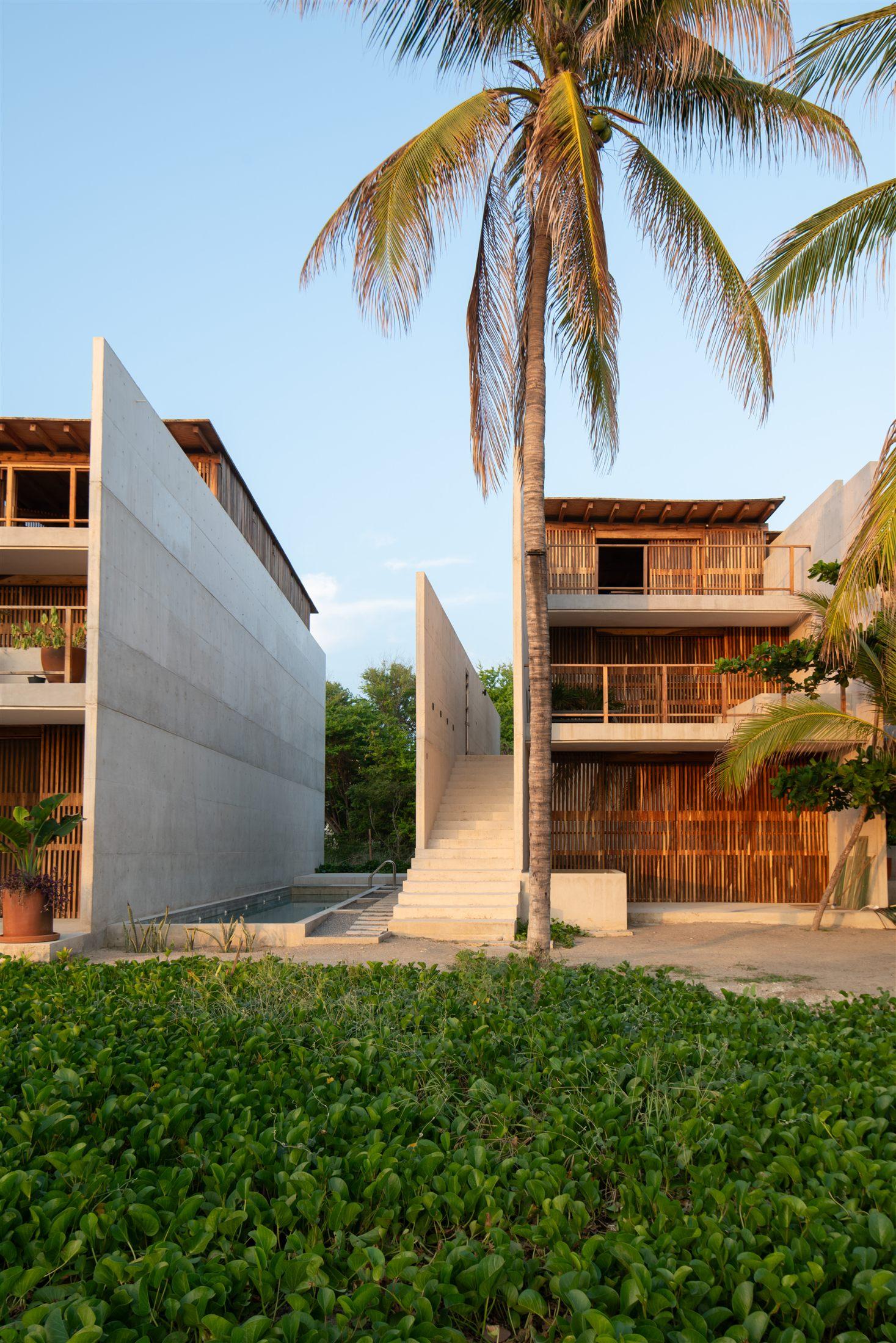 Fachada con palmera